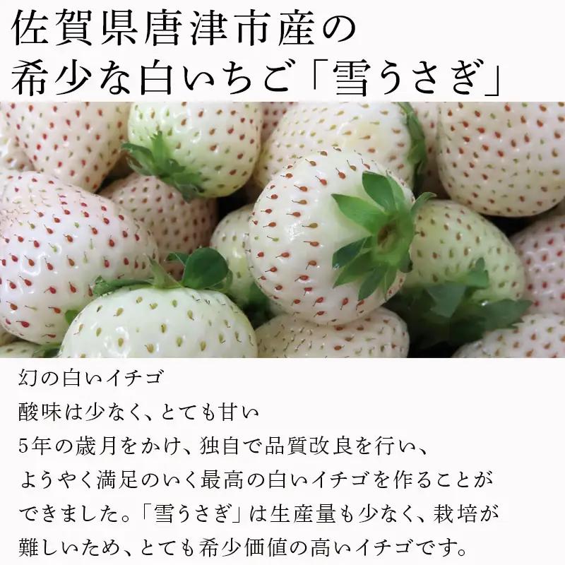 『先行予約』【令和9年2月中旬発送】唐津産 白いちご「雪うさぎ 」