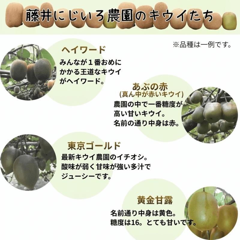 【先行予約】キウイ フルーツ 食べ比べ アソート 3種 約1.4kg & キウイジュース 500mlセット（果汁70％） 阿武町産 キウイトリプル ジュースセット フルーツ 果物詰め合わせ 《お届け：