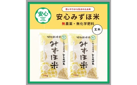 安心みずほ米 ひとめぼれ 玄米 20kg（10kg×2袋）【1390】