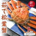 【ふるさと納税】日本海産　茹で松葉蟹【訳あり】中大サイズmatubakani800 ズワイガニ 松葉ガニ 800g 国産 カニ ガニ かに 松葉ガニ ボイル 高級 訳あり まるごと 京都 丹後 送料無料