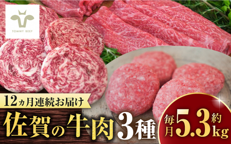 【全12回定期便】佐賀牛至福の切り落し2kgとハンバーグ16個とミルフィーユロールステーキ16個 / ステーキ ステーキ ステーキ ステーキ ステーキ ステーキ ステーキ / 佐賀県 / 有限会社佐賀セントラル牧場 [41ASAA292]