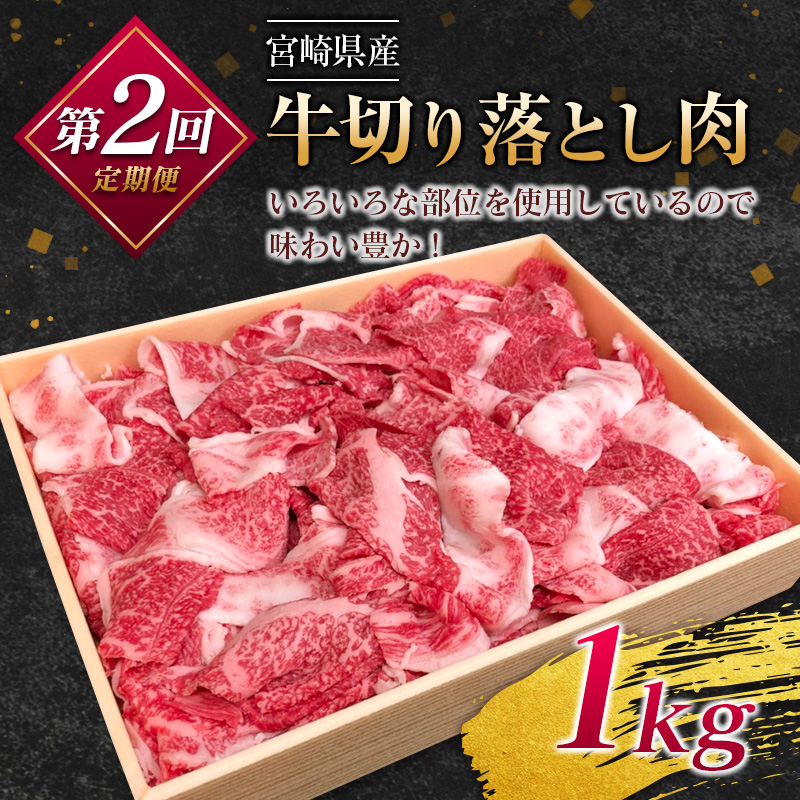 ［50セット限定］宮崎黒毛和牛『こゆ牛』バラエティ 3ヵ月定期便（A4等級以上）宮崎県産 黒毛和牛 食べ比べ 詰合せ【E142】_イメージ3
