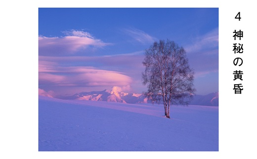 [041-09]前田真三 額付き写真（白木額） キャビネサイズ