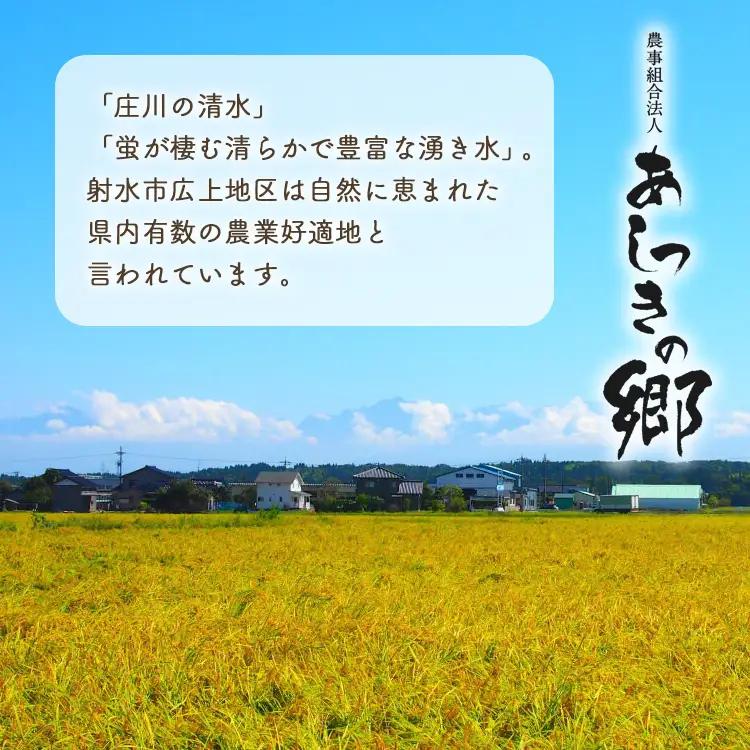 【3ヶ月定期便】【射水市】【環境保全型農業】【スマート農業】【射水の美味しいお米】あしつきの郷のあしつき米 R8年度産 コシヒカリ 10kg（5kg×2）【精米】※2026年9月～発送