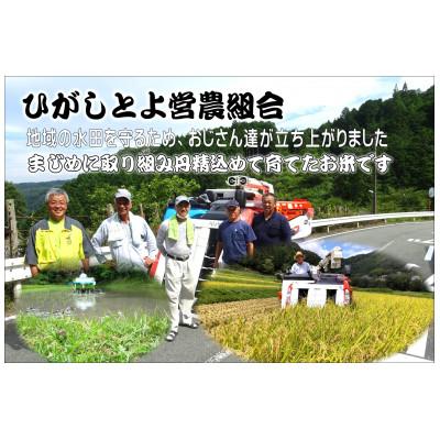 ふるさと納税 山添村 【令和8年産】ひがしとよ里山米 精米10kg(5kg×2袋) |  | 01