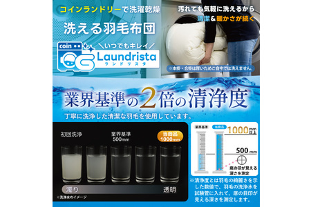 【オールシーズン】 洗える羽毛布団 セミダブル 肌掛け 合掛け  2枚組 グレー 無地｜
