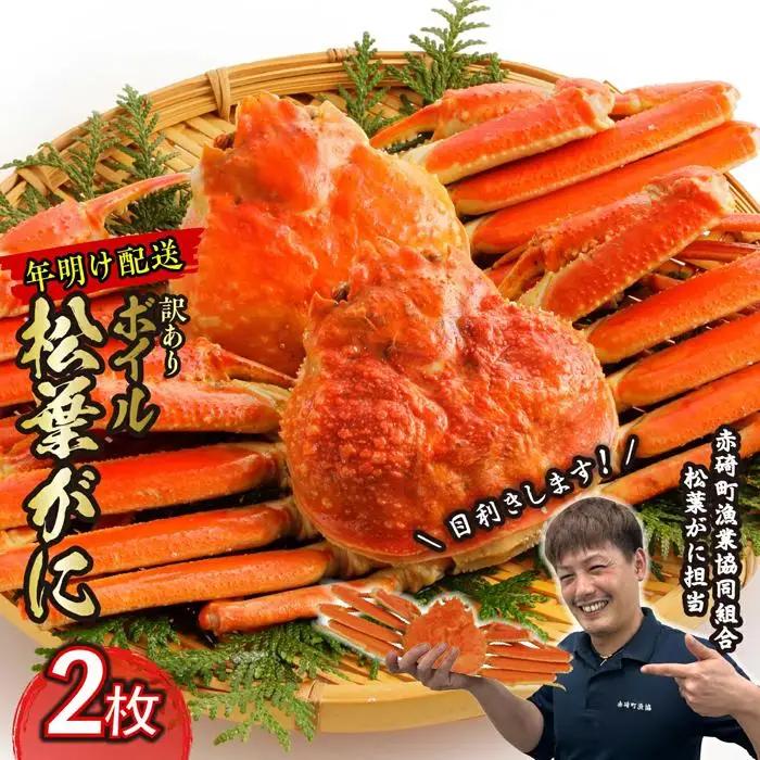 先行予約 訳あり 蟹 松葉ガニ ボイル 2枚 年明け配送 カニ