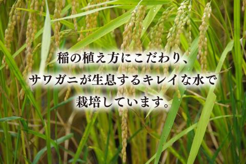 【令和6年産米使用】食卓定番セット（お米+醤油みそ糀セット）③(BI107)