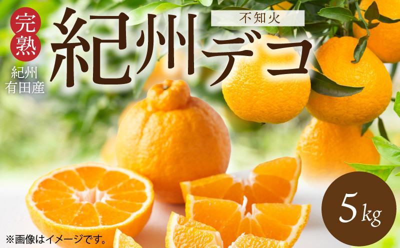 
            G7361_【2026年先行予約】期間限定 紀州デコ 約 5kg 完熟 紀州 有田産 色 形 味 香り 一級品 プリプリ 果肉 まろやか 甘さ ほどよい 酸味 ジューシー 旨味 不知火 人気品種 柑橘の王様 柑橘 果実 国産 食品 産地直送 お取り寄せ 和歌山県 湯浅町 送料無料
          