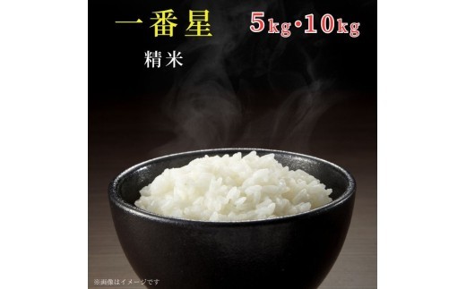 
                  《 令和7年産 》米 もちもちで上品な食感「一番星」精米 5kg 10kg ／ 米 こめ コメ お米 おこめ 一番星 白米 ごはん 令和7年産 5kg 10kg 茨城県 利根町 送料無料
                