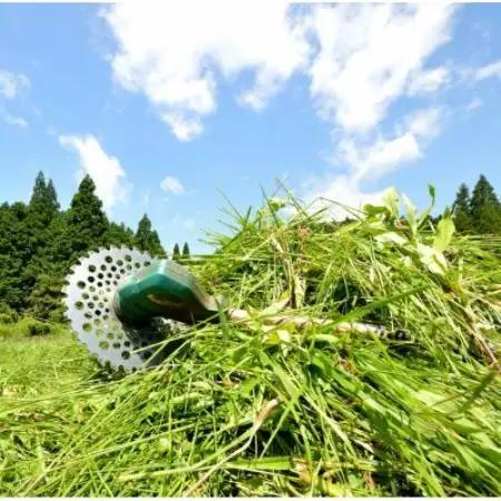 実家・空き家の草刈り・草取り・剪定(大牟田市)【1739304】