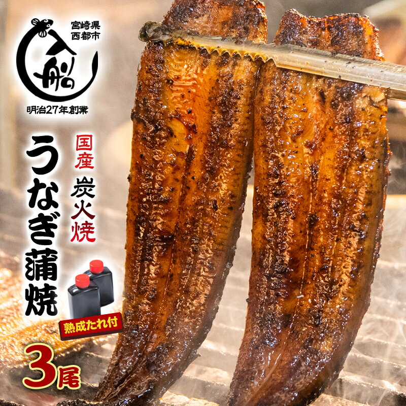 【ふるさと納税】炭火焼一筋130年「うなぎの入船」かば焼3尾（熟成たれ付）国産 うなぎ 手焼き 備長炭 炭火焼 小分け 真空パック 送料無料 さいとし サイト