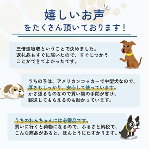 3倍速ふんわりサラ・シート　ワイド　40枚×4袋　ペットシート ペットシーツ 犬用 ワンちゃん 日本製 雑貨 日用品 防災 防災グッズ 
