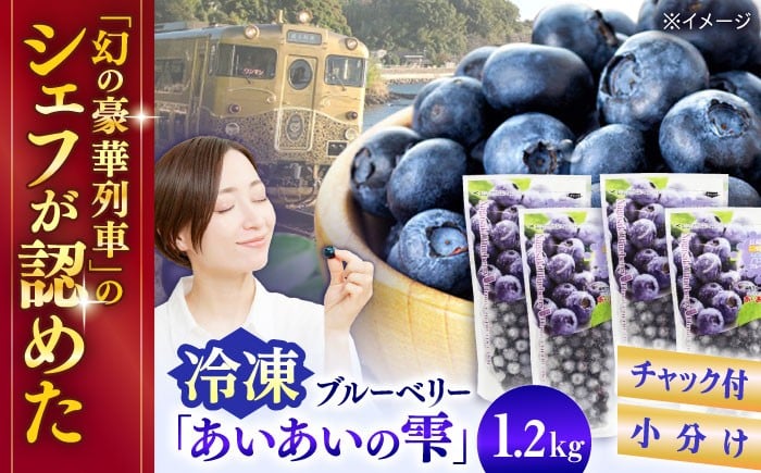 
            冷凍ブルーベリー 計1.2kg ブルーベリー ベリー べりー あいあいの雫 ベリー べりー ブルーベリー ぶるーべりー 冷凍 小分け 果物 くだもの フルーツ ふるーつ 長崎県 佐々町 / 【堀内フルーツファーム】[QAT017]
          