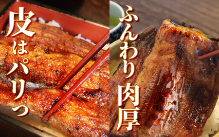 うなぎの蒲焼（真空パック）3人前＋レンジメート プロ プラス クレイピンク