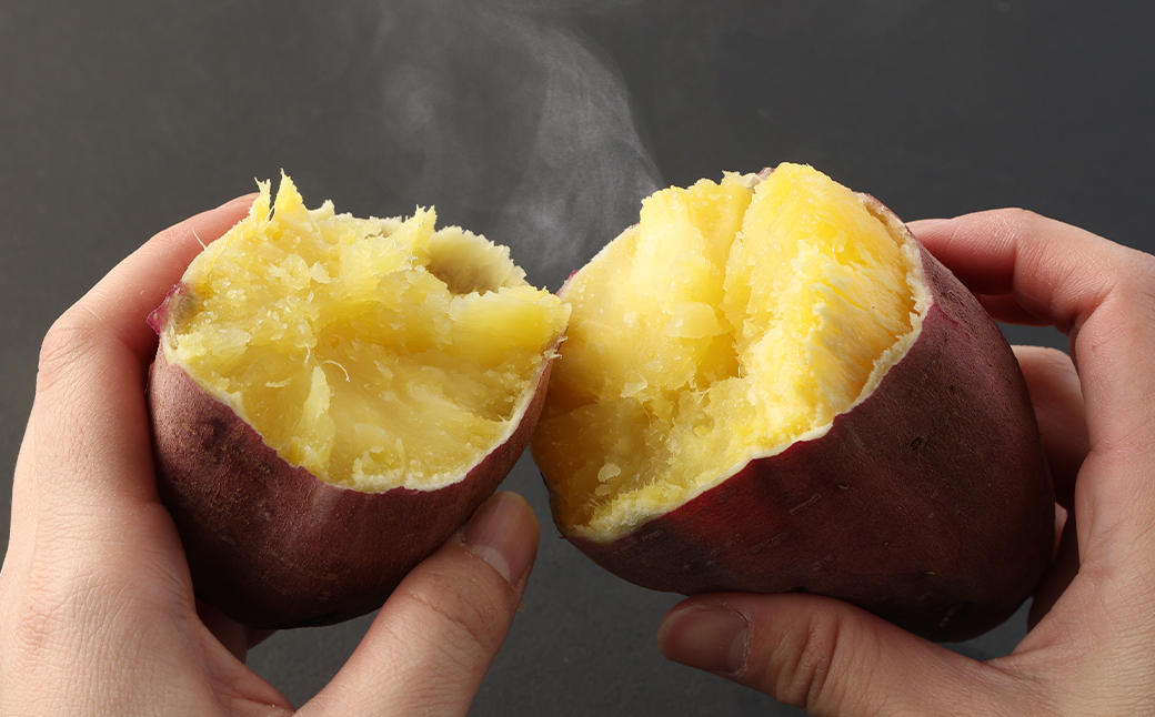 熊本県産 紅はるか 約5kg べにはるか さつまいも サツマイモ さつま芋 お芋 芋 【2026年3月下旬まで発送予定】