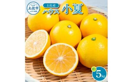 【先行予約】自然の味をそのままに旨味の塊ハウス小夏約5kg〈2026年4月下旬から発送開始〉/高知県土佐市産 小夏 コナツ 果物 柑橘 フルーツ みかん ハウス 小夏 ５キロ 新鮮 産地直送 美味しい おいしい 厳選【やの一果彩】 [BQAC037]