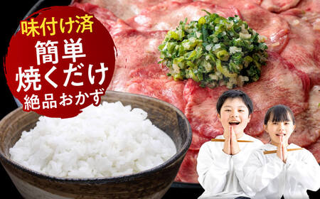 奈良 焼肉工房 もく ねぎ塩牛タン 480g 【 牛タン おすすめ牛タン 人気牛タン お取り寄せ グルメ 牛タン 牛肉 タン 牛タン 】　奈良県 奈良市 奈良 なら 9-018 