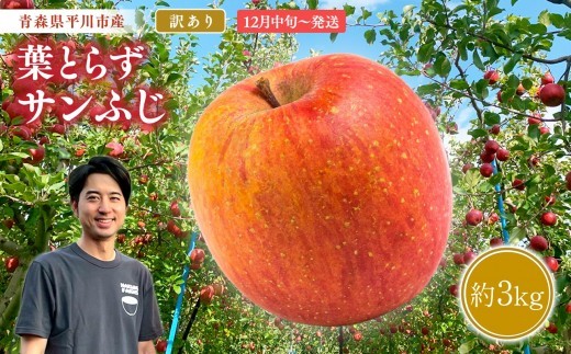 
                  ≪2026年12月中旬頃より発送≫青森県産 訳あり 葉取らずサンふじ 約3kg【青森県 平川市 なるみ農園】家庭用 訳アリ 青森 青森県産 平川 りんご リンゴ 林檎 くだもの 果物 フルーツ 
                