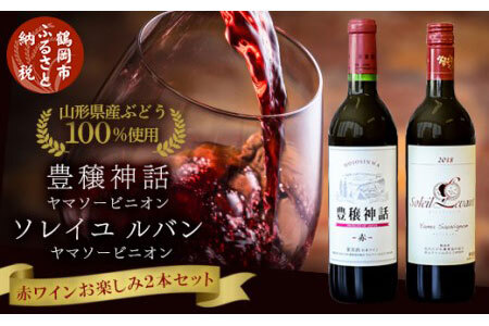 赤ワイン　飲み比べ2本セット　ソレイユルバン・ヤマソービニオン750ml＆豊穣神話・ヤマソービニオン720ml　K21-744
