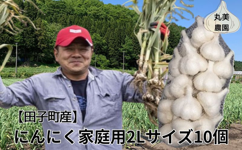 
            丸美農園 田子産にんにく家庭用2Lサイズ 10個
          