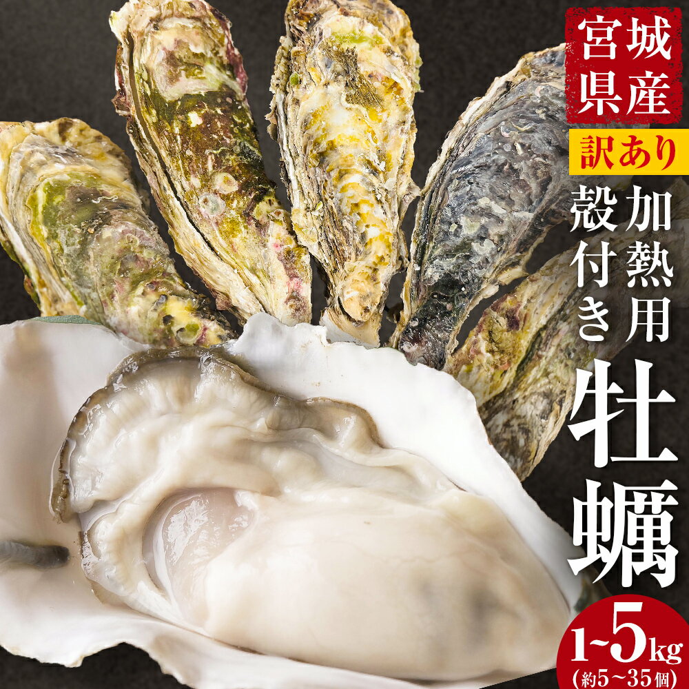 【ふるさと納税】牡蠣 訳あり 宮城県産 無選別 選べる 1kg - 5kg 加熱用 真牡蠣 かき カキ 貝 貝類 海産物 魚介類 海鮮 冷凍 宮城県 宮城 石巻市 石巻