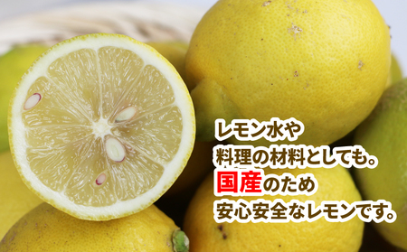 訳あり 檸檬 5kg マル南フルーツ 先行予約 不揃い 訳アリ 訳あり品 訳有り わけあり レモン れもん レモン果汁 酸味 高級 果物 くだもの ビタミン 健康 ダイエット フルーツ 柑橘 みかん 