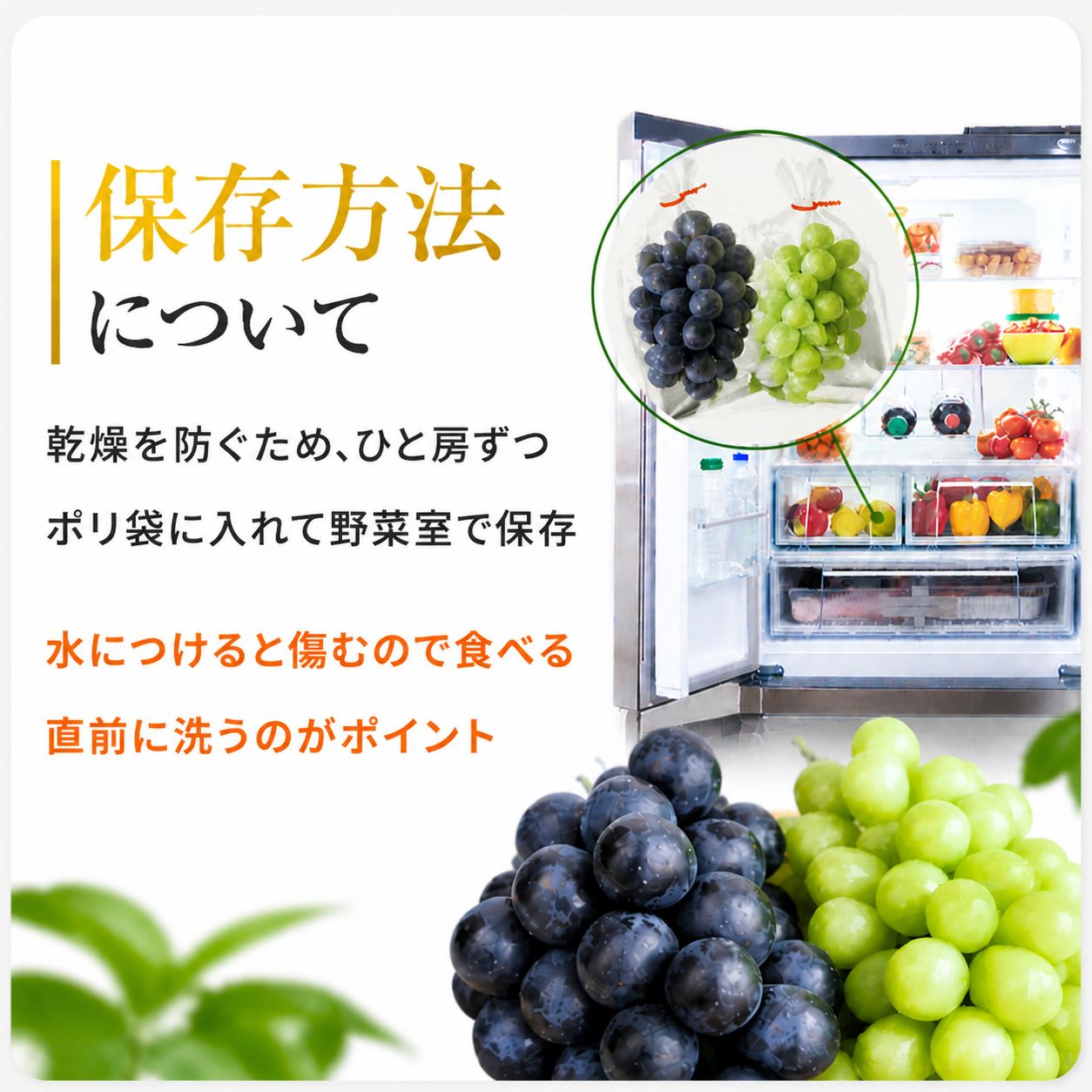 【数量限定】宮内果樹観光園のニュー巨峰 約1kg ぶどう 2～3房 | フルーツ 果物 くだもの ブドウ 葡萄 巨峰 ニュー巨峰 産地直送 大分県 中津市
