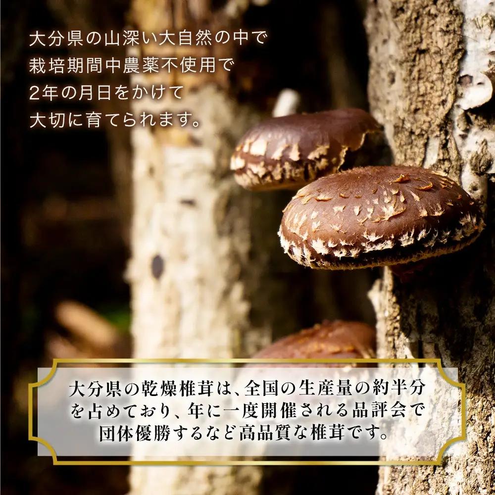 大分県産焼き椎茸パウダー 40g×5袋セット乾燥椎茸 | 津久見市