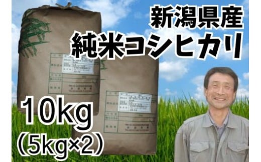 【令和7年産】新潟県産 純米コシヒカリ 10kg（5㎏×2袋） さいとう農園 白米 精米 米 こめ ごはん コシヒカリ こしひかり 1G18031