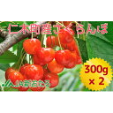 【ふるさと納税】北海道 仁木町産 7月旬 さくらんぼ 600g 【JA新おたるの生産者厳選】　果物類・フルーツ・さくらんぼ・チェリー　お届け：2024年7月～28日まで