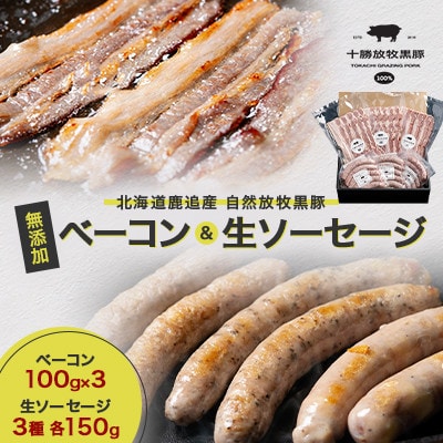 【毎月定期便】自然放牧 圧巻の黒豚 無添加ベーコン100g×3＆生ソーセージ3種各150g全4回【配送不可地域：離島】