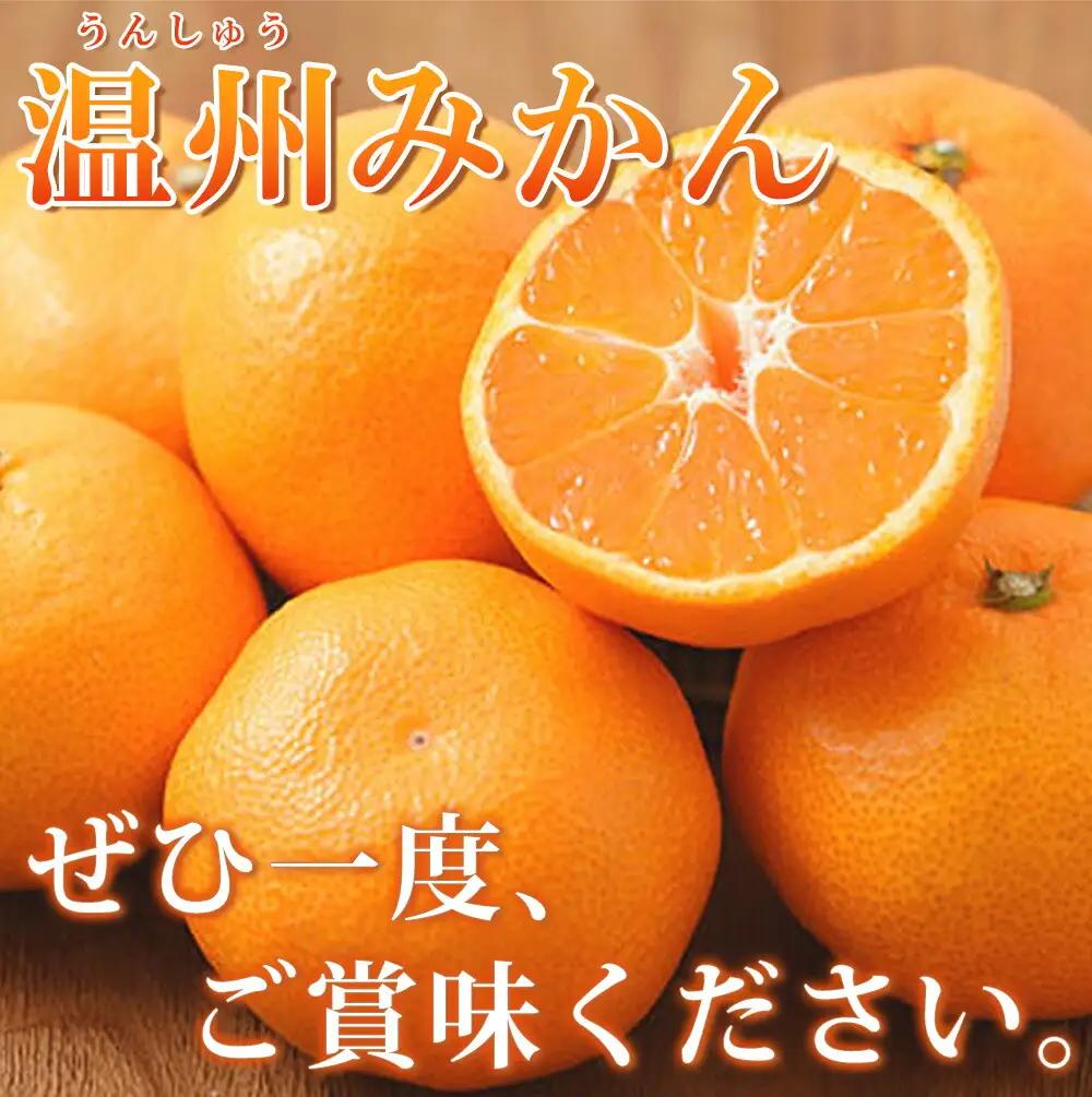 【有田の小粒みかん5kg　(S～3Sサイズ混合) ※2026年11月下旬～2027年1月下旬頃に順次発送予定  / みかん ミカン 蜜柑 温州みかん 柑橘 フルーツ 果物 くだもの 和歌山【uot84
