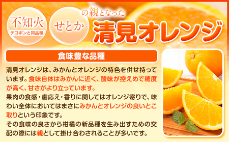 清見オレンジ 10kg ときわオンライン《1月中旬-3月下旬頃出荷》 和歌山県 紀の川市 フルーツ 果物 清見 オレンジ 柑橘 送料無料