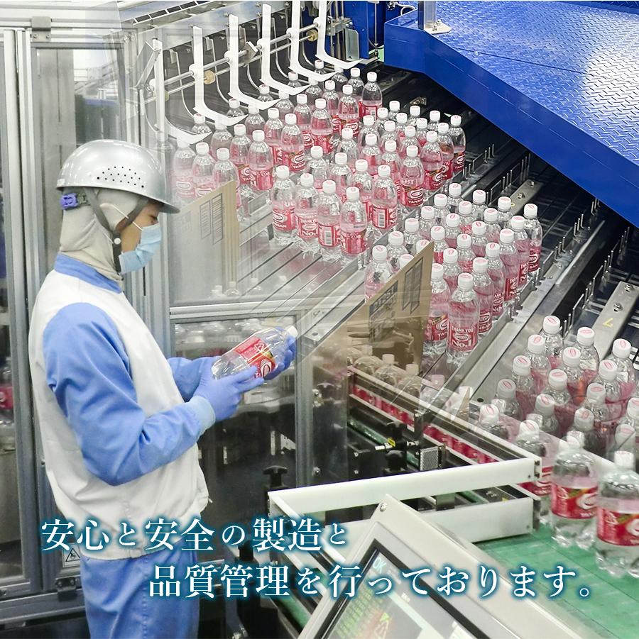 【３ヶ月お届け！】炭酸水 ウィルキンソン　タンサン（24本入）定期便