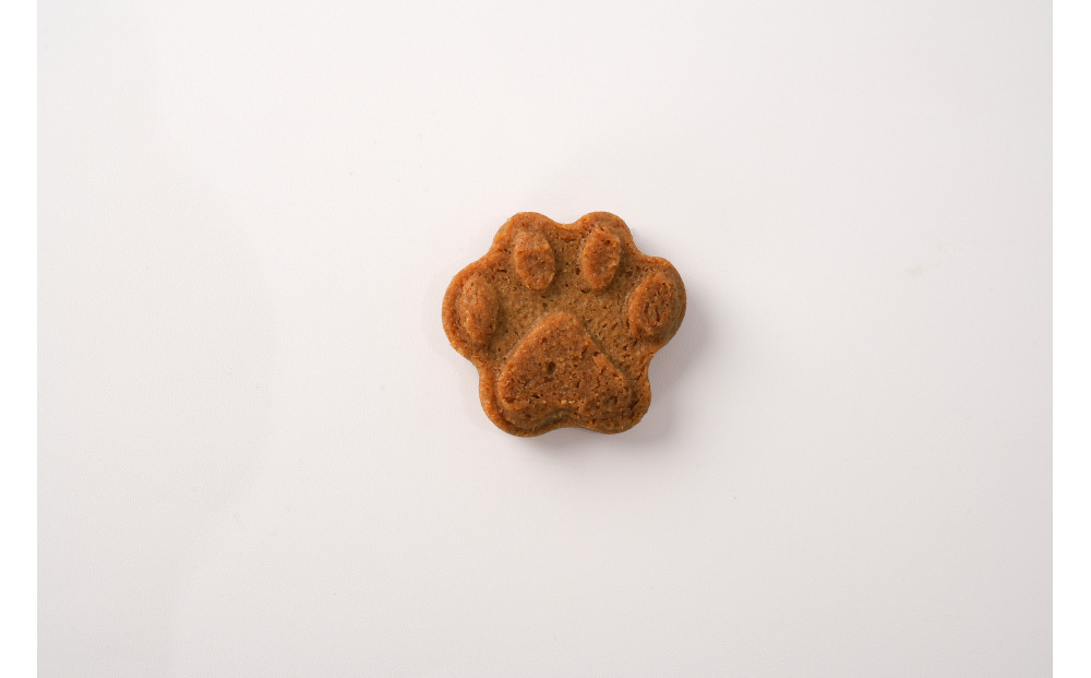 子猫のブランシュ缶クッキー　シナモン