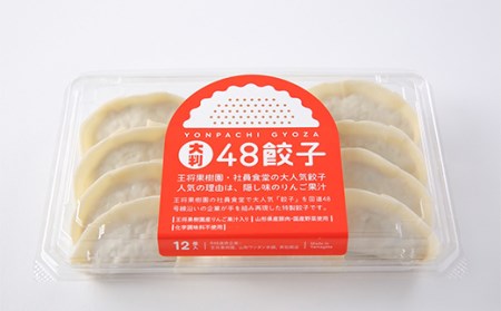 大判48餃子 F2Y-2814