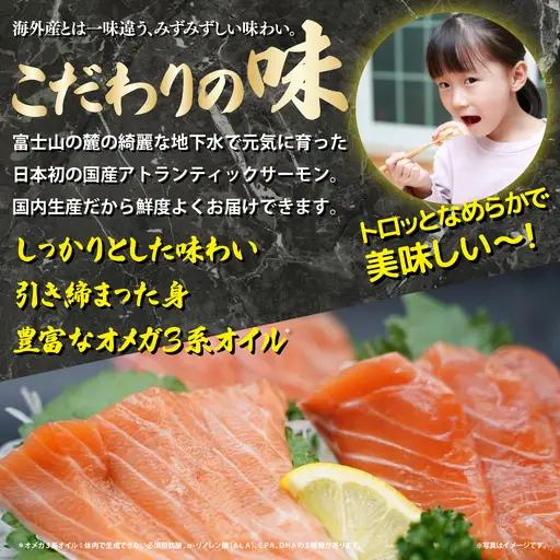 国産サーモン 冷凍 3～4P 約750g サーモン