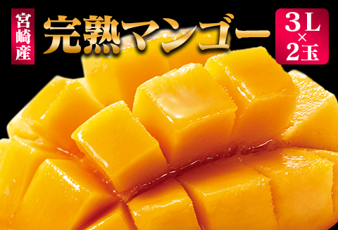 ＜先行予約＞ 完熟マンゴー 3Lサイズ 2玉 南国宮崎からお届け!! フルーツ 果物 人気 贈答品【C247-26】