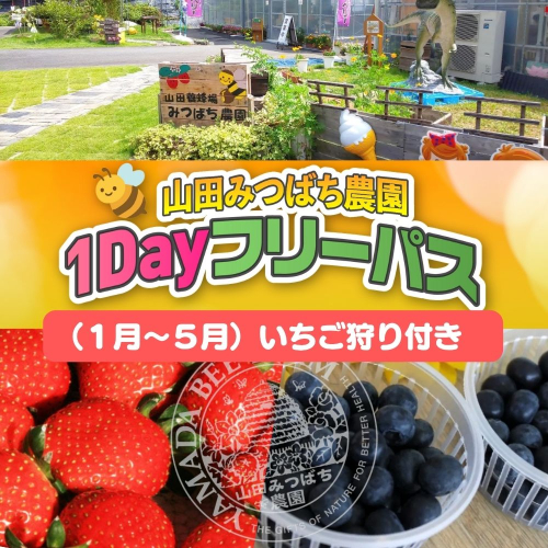 ［山田みつばち農園］1Dayフリーパス（1月～5月）いちご狩り付き 049-a002