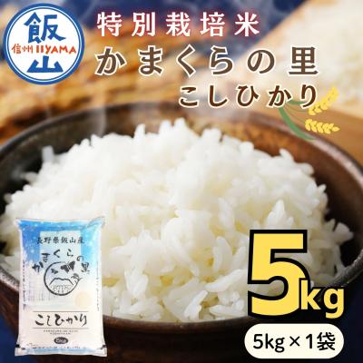 ふるさと納税 飯山市 【令和8年新米予約】特別栽培米 「かまくらの里 コシヒカリ」 精米 5kg (5kg×1袋)