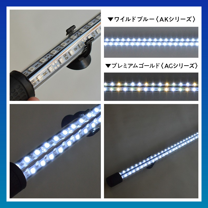 一瞬で綺麗に魅せる!金龍の青を最大限に強調する水中LEDライト|AK120-EX 金龍 専用 ワイルドブルー 青 水中 アロワナ 高輝度 水槽ライト テンニングライト LED ライト 照明 水中照明 