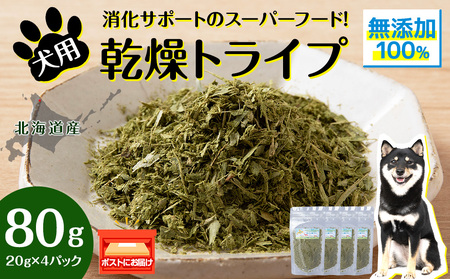 犬 おやつ 無添加 国産 乾燥グリーントライプ 80g (20g×4)