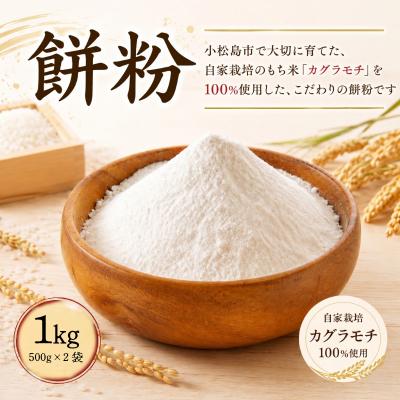 ふるさと納税 小松島市 もち粉 溝木さんの餅粉 1kg(500g×2袋) グルテンフリー お正月 餅 小松島市
