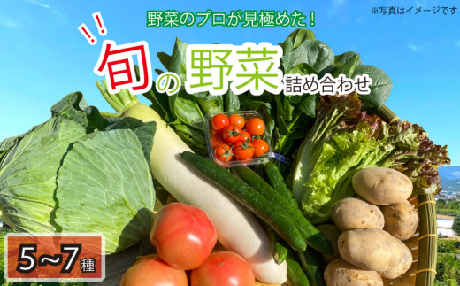 新鮮 旬の野菜セット 5~7品目 詰合せ セット 旬 新鮮 季節の野菜 野菜 やさい なすび ブロッコリー キャベツ 白菜 レタス サニーレタス ほうれん草 きゅうり ピーマン とうもろこし トマト ミニトマト 大根 絹さやえんどう インゲン豆 玉ねぎ じゃがいも すだち BBQ アウトドア ギフト プレゼント 贈答 お取り寄せ グルメ 産地直送 送料無料 阿波市 徳島県 ヨコタコーポレーション