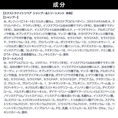 ふるさと納税 滑川町 ダイアン エクストラナイトリペア シャンプー&トリートメント 本体セット|19_ntl-160201 |  | 01