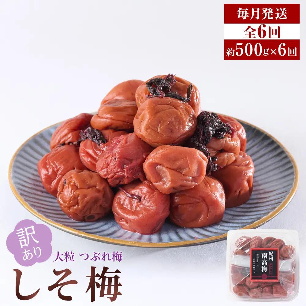 訳あり 梅干し 大粒 大玉 つぶれ梅 しそ梅 約500g × 6回 塩分10％ [ 定期便 毎月発送・全6回 ]