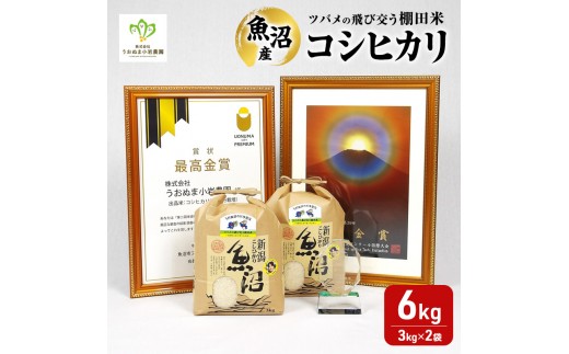 
                  【令和8年産　新米先行受付】ツバメの飛び交う棚田米 精米6kg（3kg×2袋） 米 こめ お米 コメ こしひかり コシヒカリ 精米 新潟県 魚沼市 魚沼
                