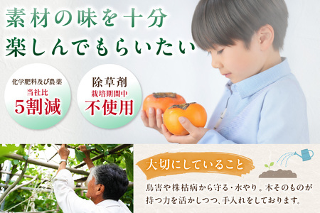 【先行予約】浜田のいちじく懐かしの味！長浜唐柿（蓬莱柿）生食用 約1.4kg【113_2060】