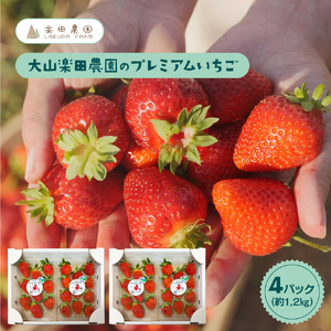 大山楽田農園の大容量ファミリーパックいちごプランC